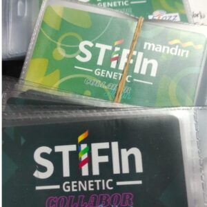 NPD01 STIFIn CollaborACTION