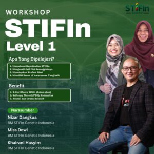 NPD01 Workshop STIFIn Level 1